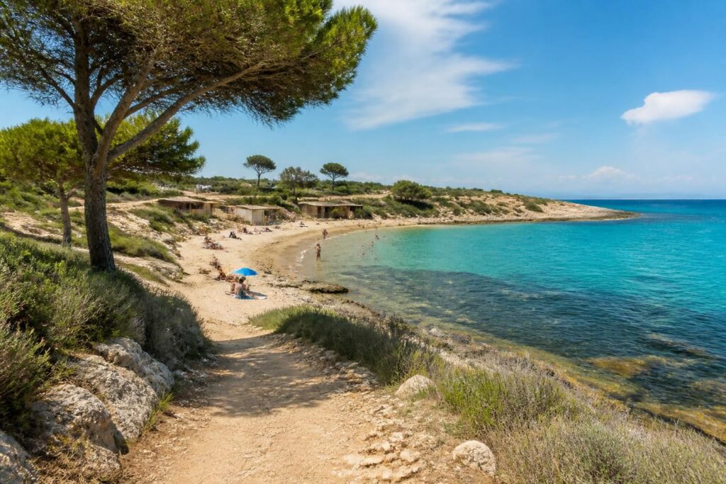 découvrez la plage carro à martigues : guide d'itinéraire, température de l'eau idéale et conseils pratiques pour une journée parfaite au bord de la méditerranée.